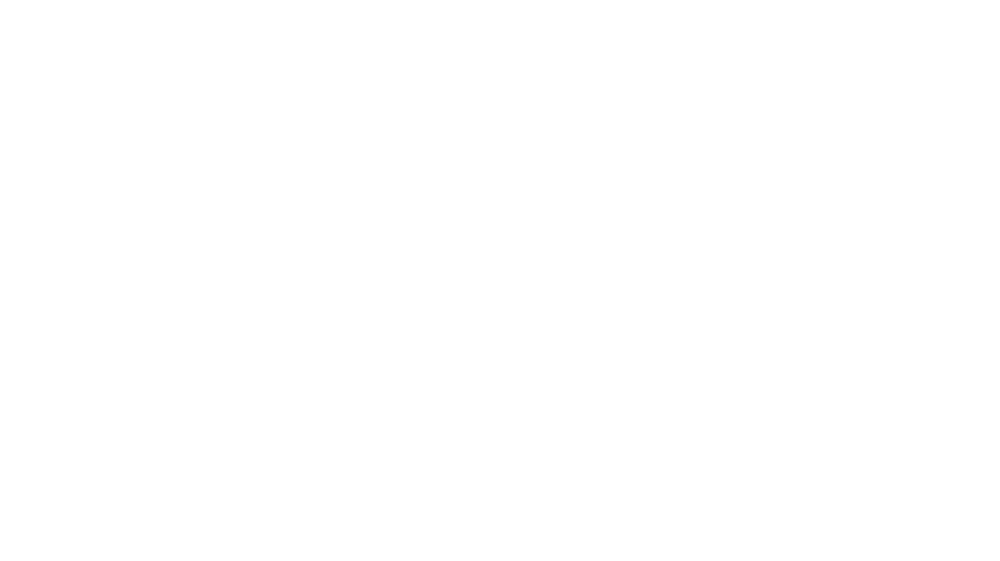 logo ancv