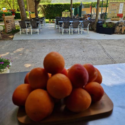 gorges tarn millau aveyron camping taranis snack1