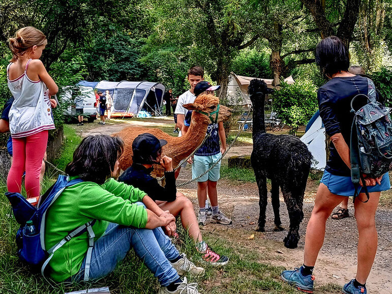 animation animal camping taranis gorges tarn